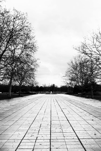 公园里的人行道图片下载