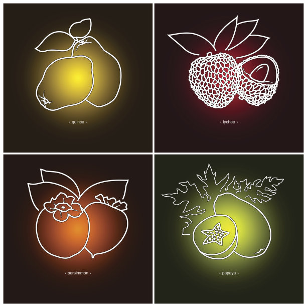 柿子，木瓜，木瓜，荔枝图片下载