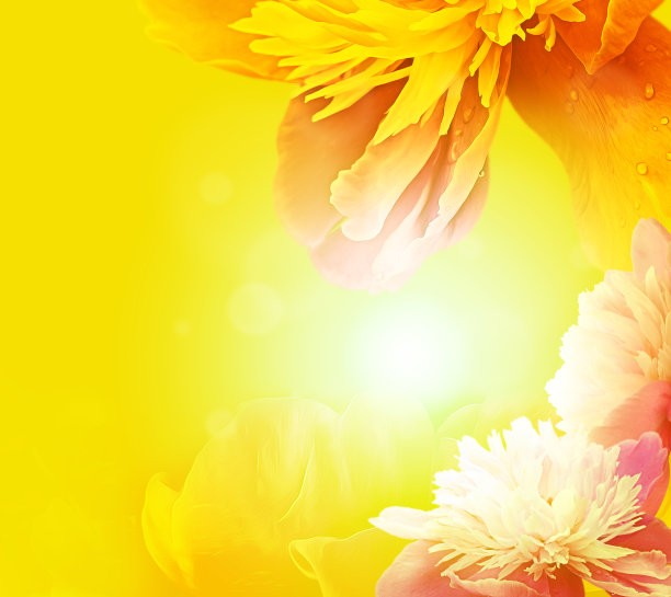 抽象的贺卡图片下载