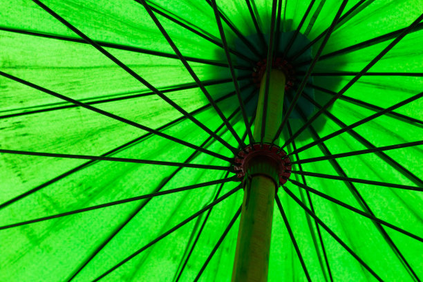 伞特写图片下载