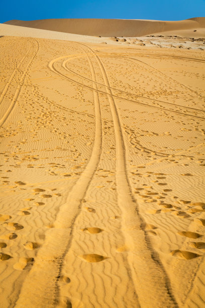 沙漠里的脚步声和车辙图片下载