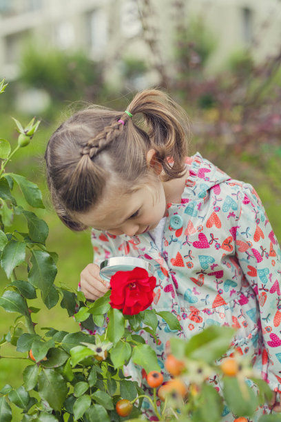 可爱的小女孩拿着放大镜检查花图片下载