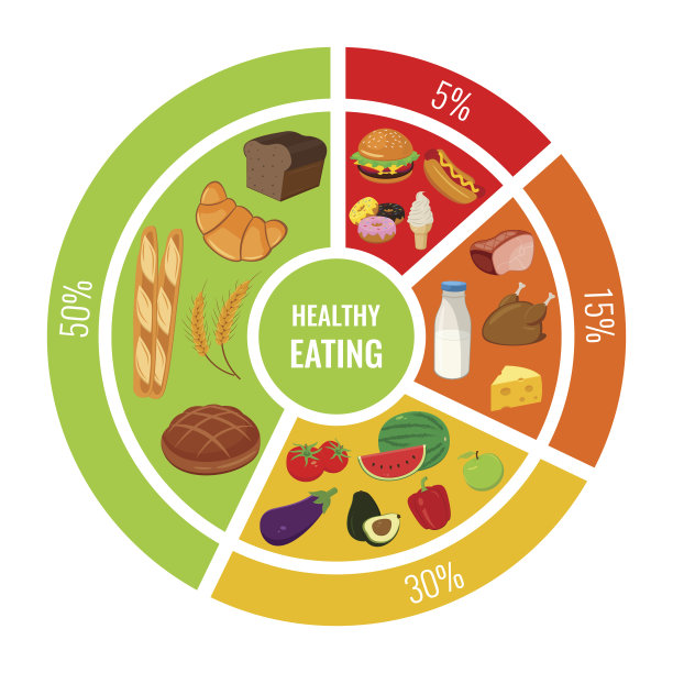 健康食品信息图表与图标的产品。向量图片下载