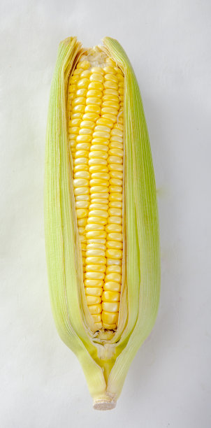 玉米图片下载