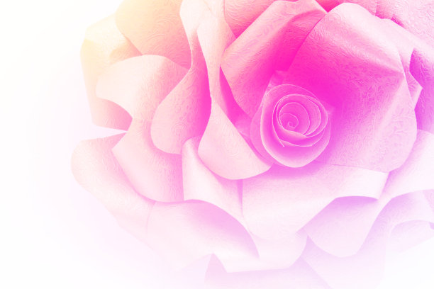 纸玫瑰图片下载