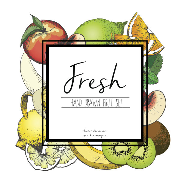 矢量边界颜色的新鲜水果插图。手绘。图片下载