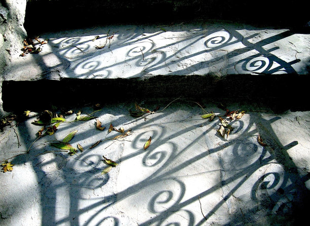 阴影和树叶图片下载