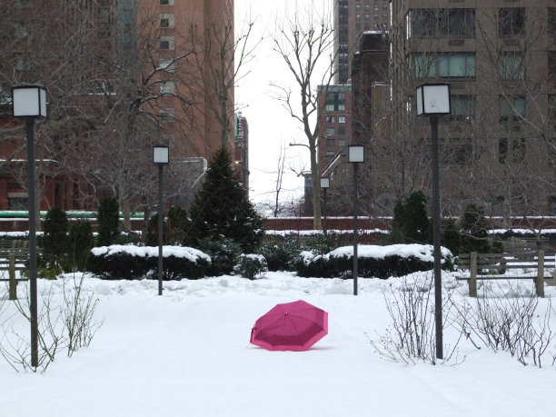 我的粉红色的伞图片下载