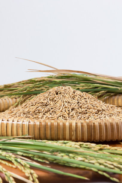 稻谷和木勺。图片下载