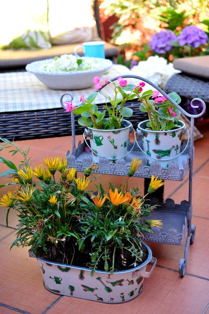 阳台园艺图片下载