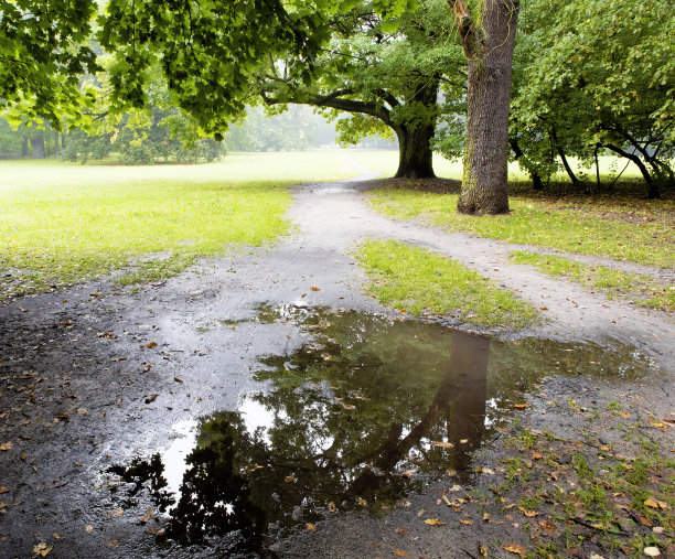 公园里的阳光小径图片下载