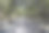 这条路被树荫覆盖着图片下载
