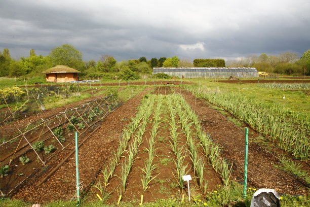社区菜地景观图片下载