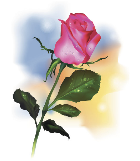 粉红色的玫瑰。矢量插图。图片下载