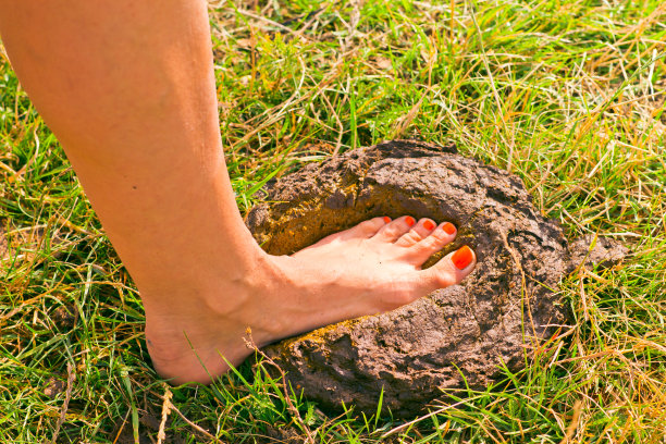 脚肥料图片下载