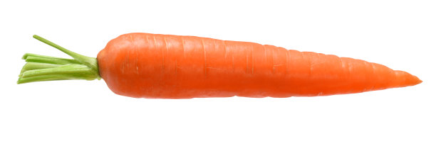 整个胡萝卜图片下载