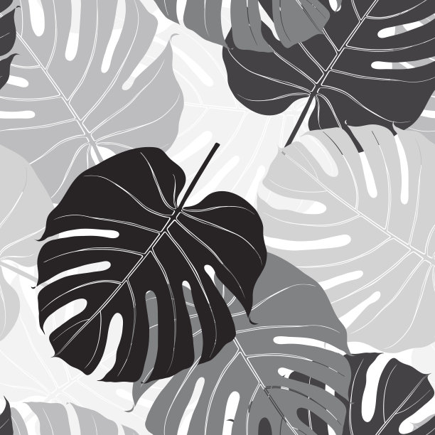 无缝图案与棕榈叶。单色背景。图片下载