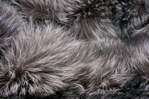 灰色的长毛皮草图片下载