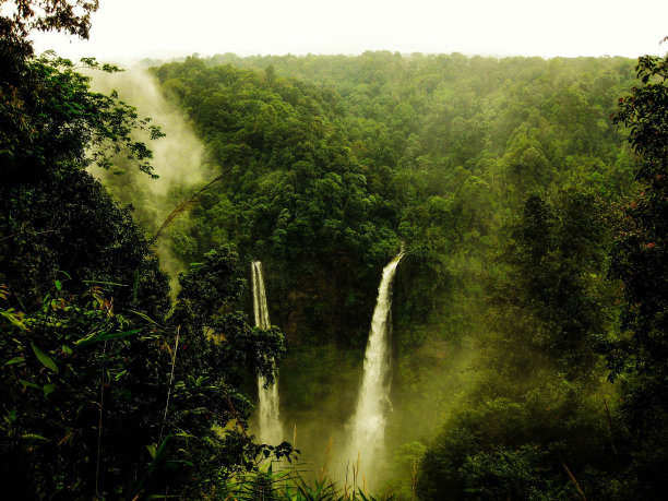 排水丛林图片下载
