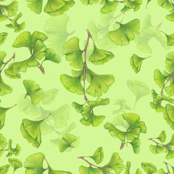 银杏模式图片下载