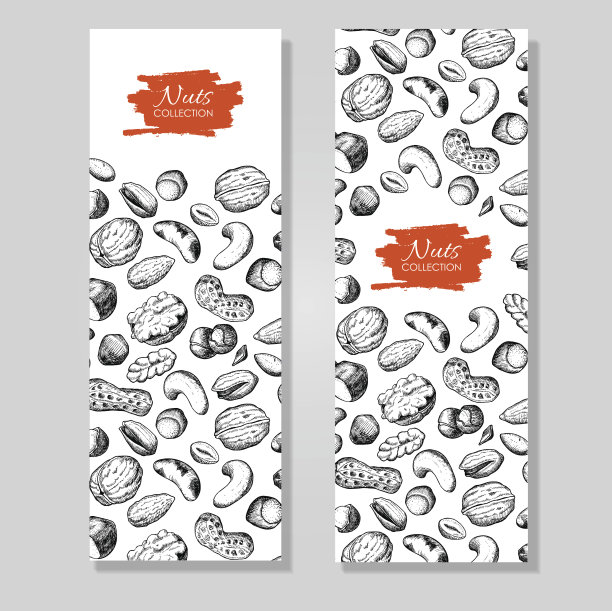 矢量手绘制坚果横幅。刻详细的插图。图片下载