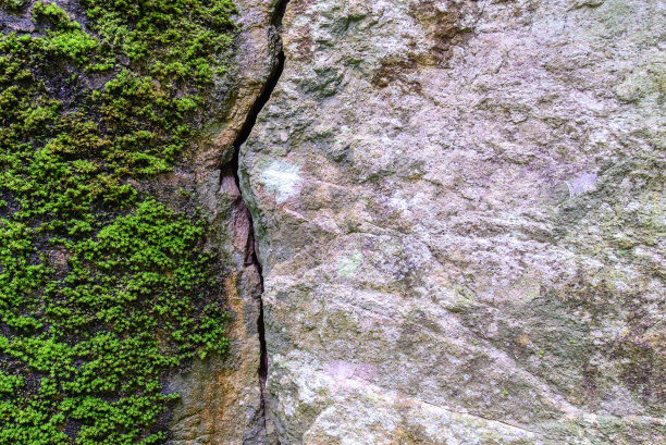 森林中天然碎裂的石头和苔藓。图片下载