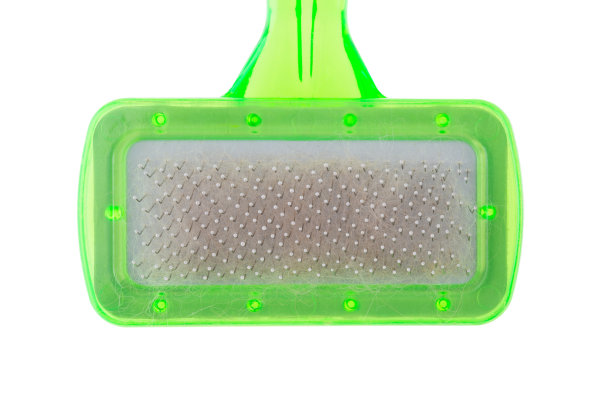 宠物用刷子把成堆的毛收起来图片下载