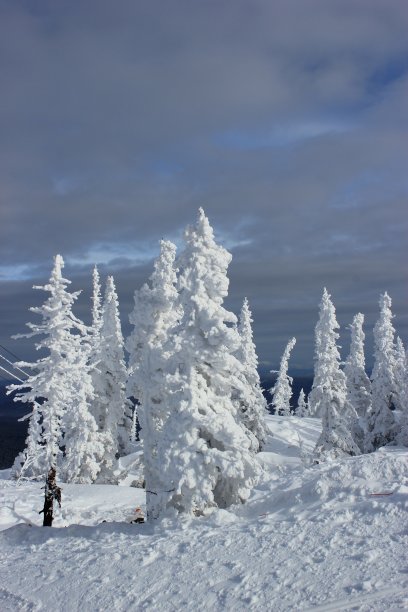 Frosty day。寒冷的日子。图片下载