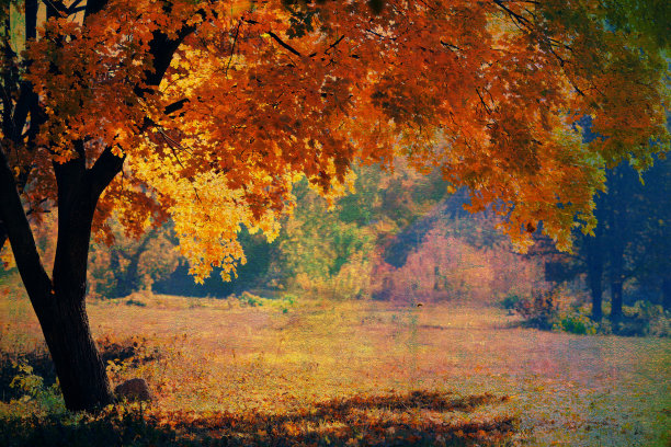 秋天的风景图片下载