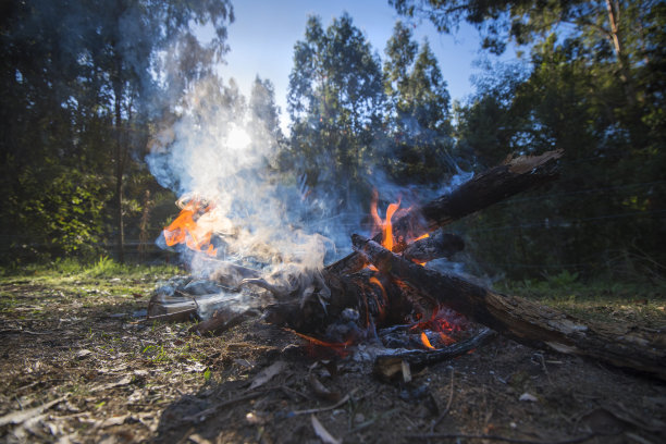 火图片下载