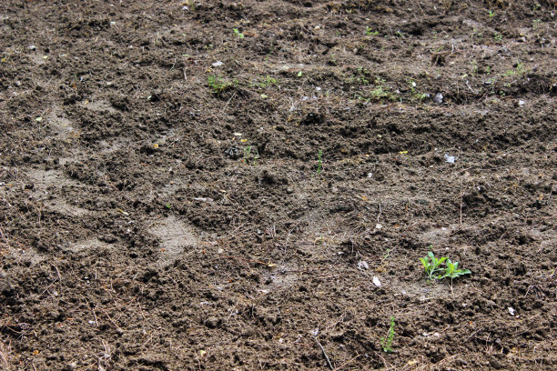 为园艺准备的新耕土壤图片下载