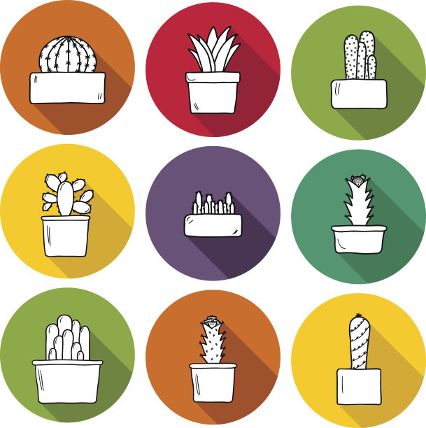 一套可爱的手绘仙人掌图标图片下载