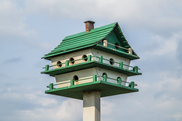 喂鸟器图片下载