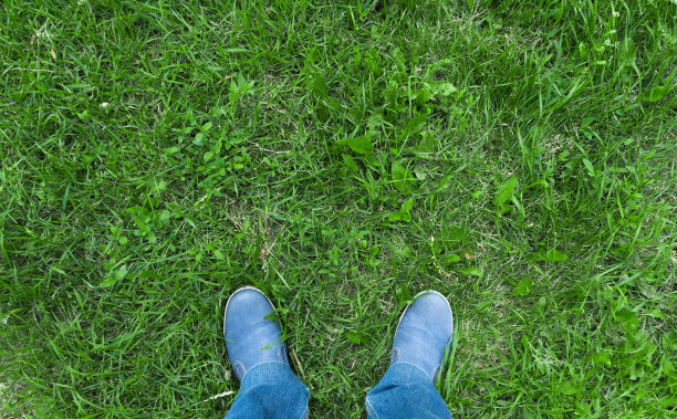 腿的人图片下载