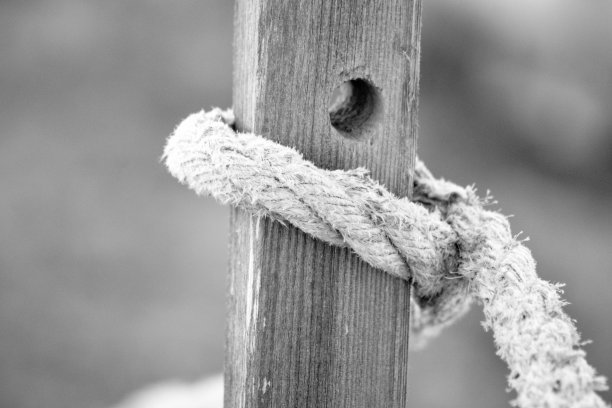 海滩上的绳索围栏图片下载