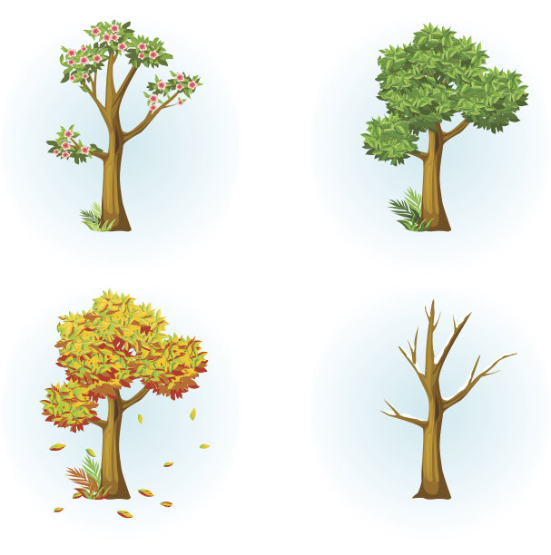 树季节春天夏天秋天冬天图片下载