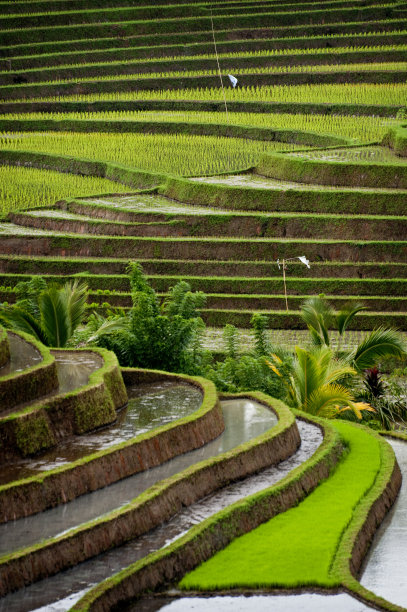 Besakih,巴厘岛。图片下载
