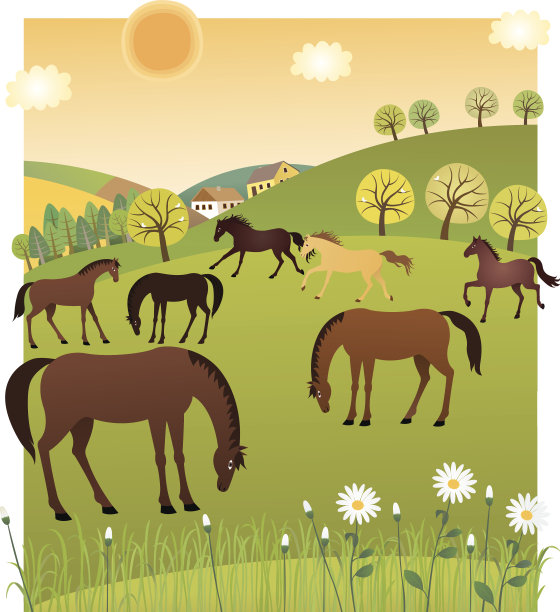 春天的马图片下载