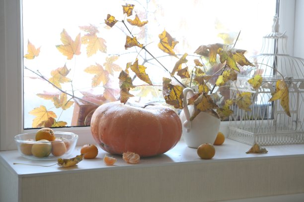 秋天的静物与南瓜图片下载