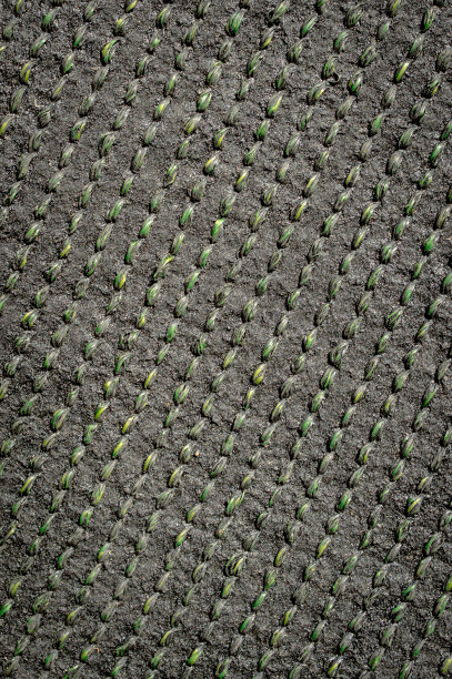 抽象的背景图片下载