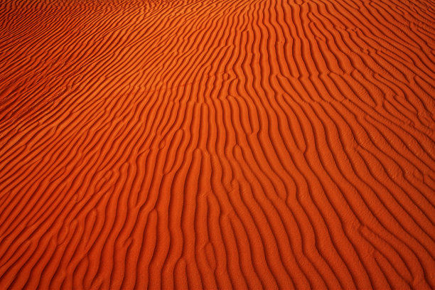 迪拜沙漠美丽的沙丘照片图片下载