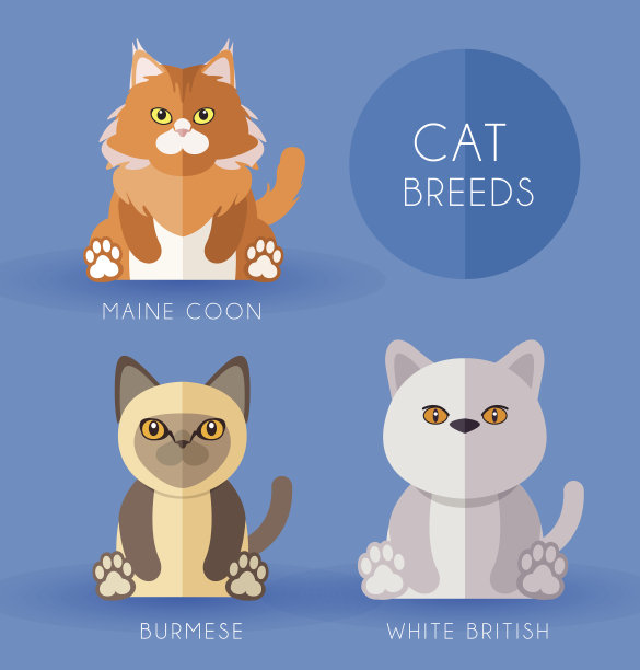 猫的品种图片下载