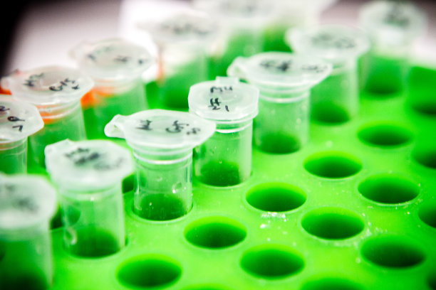 细胞研究-离心管图片下载