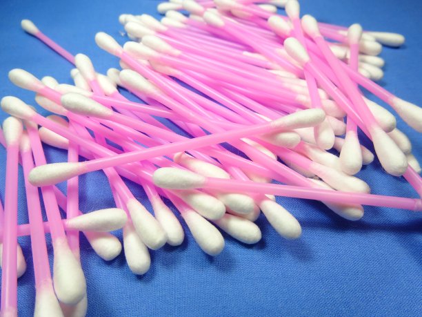 棉花花蕾图片下载