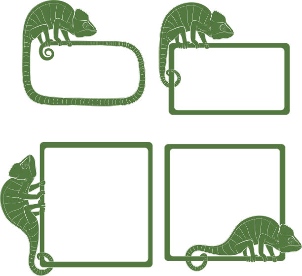 一组图标与绿色变色龙。图片下载