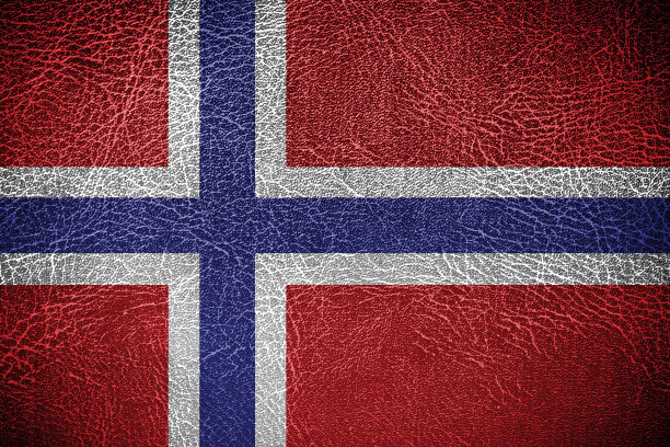 皮革质地或背景上的挪威国旗图片下载