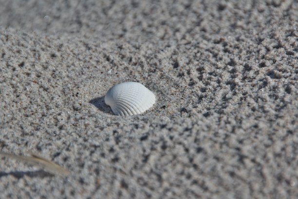 穆舍尔是奥塞斯特兰德图片下载