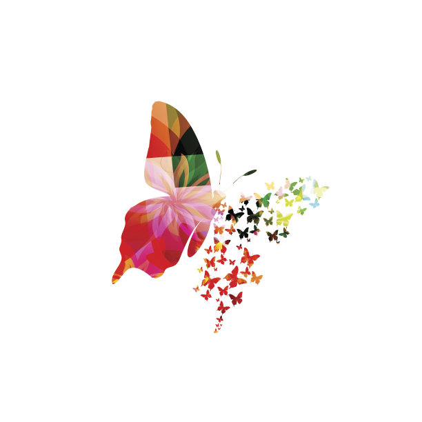 色彩斑斓的蝴蝶设计图片下载