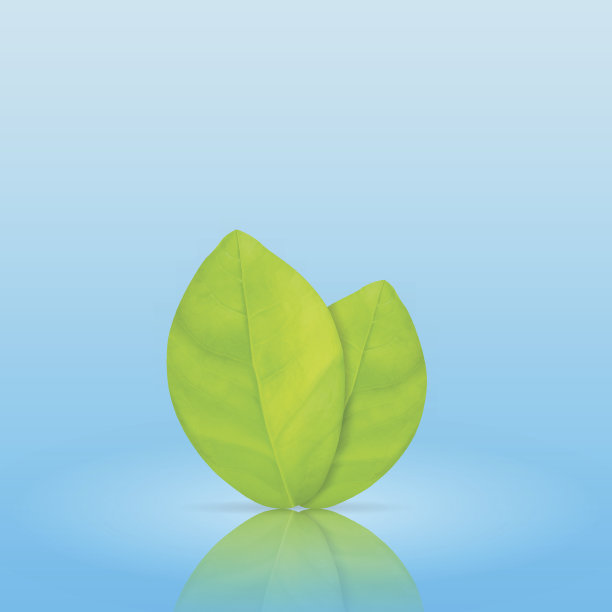 绿色的树叶图片下载