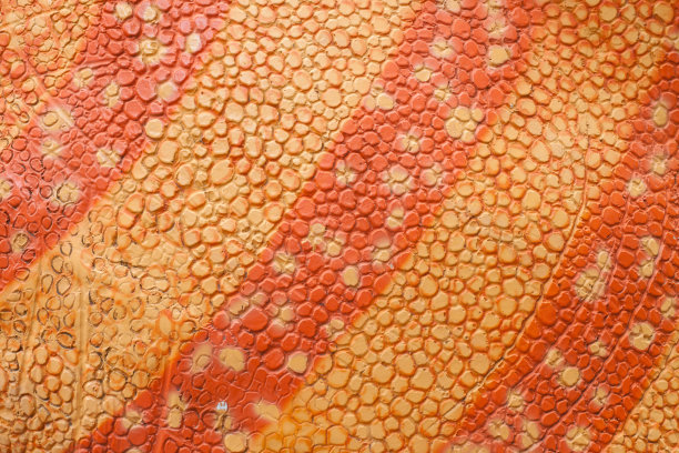 人工混凝土的色彩图片下载